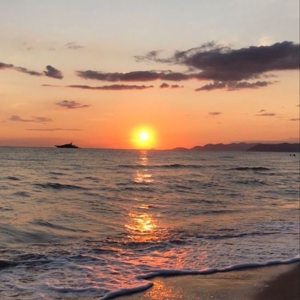 Meet your Posher, Jing